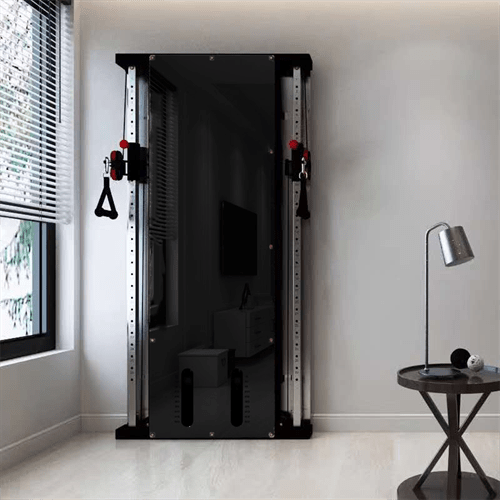 Wall Mount Functional Trainer