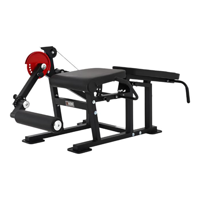 AL-169 Leg Curl / Extension