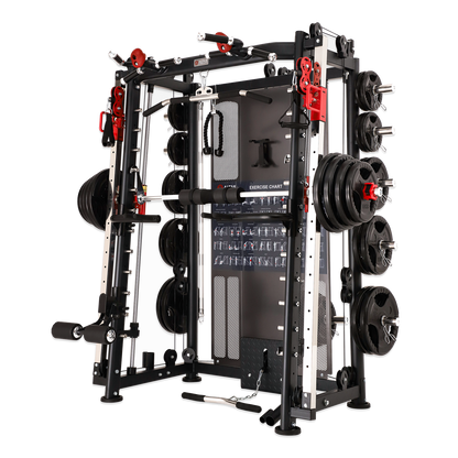 AL-3000Y All-in-One Functional Smith Trainer