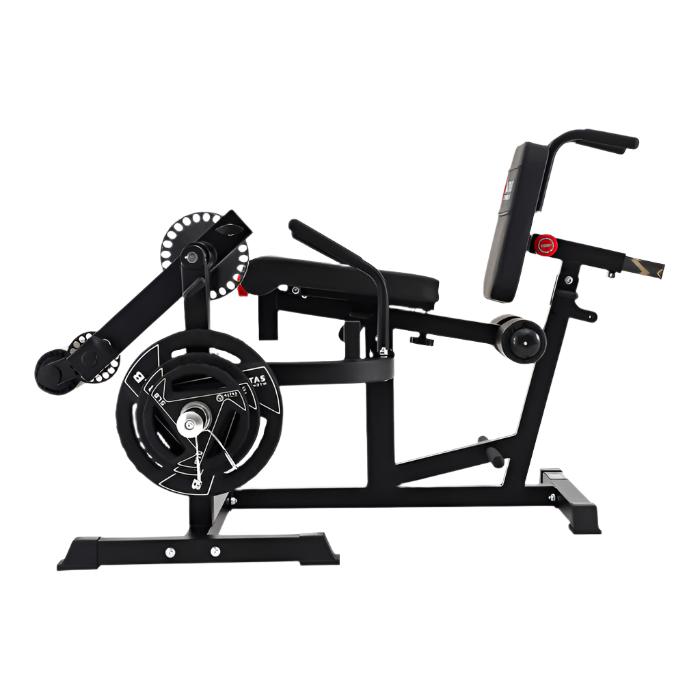 AL-3036 Leg Curl / Extension