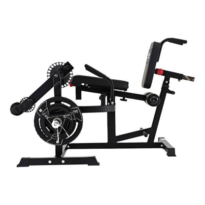 AL-3036 Leg Curl / Extension