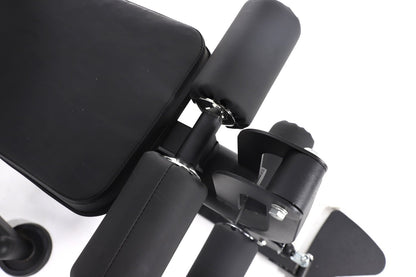 AL-179 Multi-Functional Gym