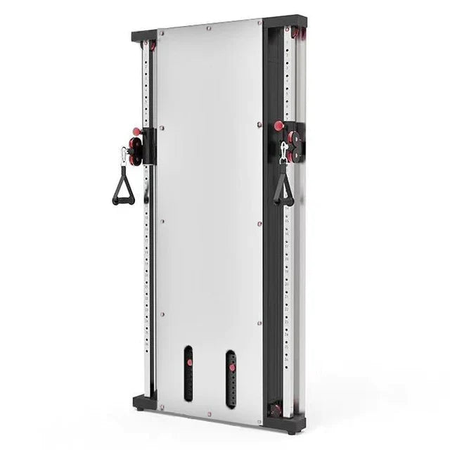 Wall Mount Functional Trainer