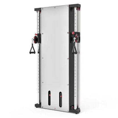 Wall Mount Functional Trainer