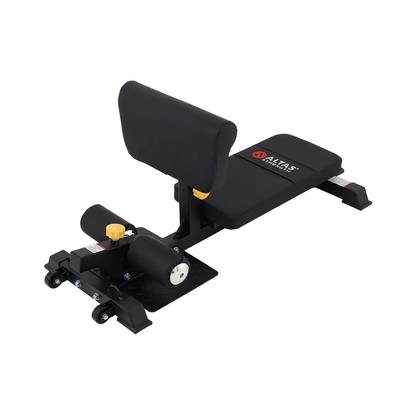 AL-6005B Sissy Squat