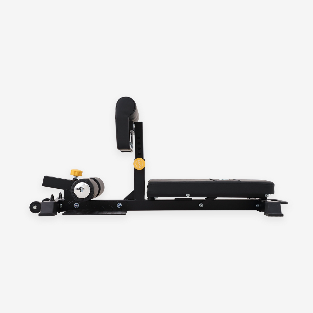 AL-6005B Sissy Squat