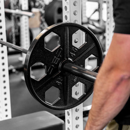 Equalizer Iron Plates (Pair)