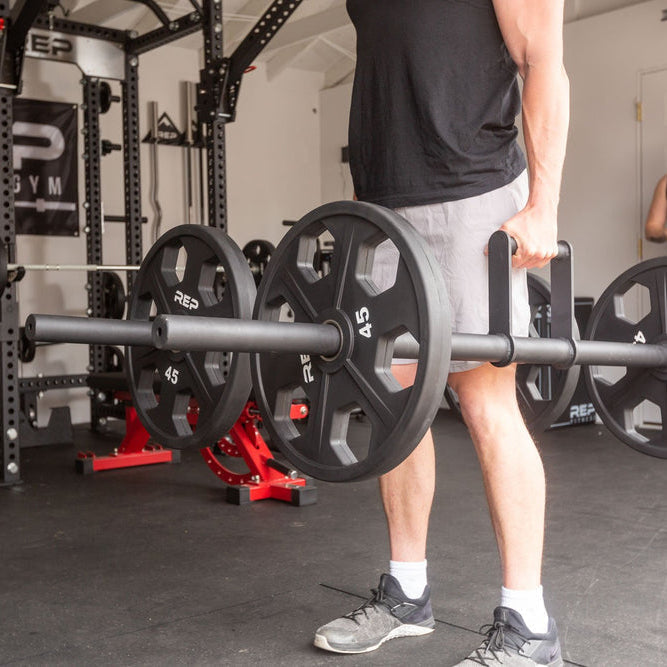 Equalizer Urethane-Coated Plates (Pair)