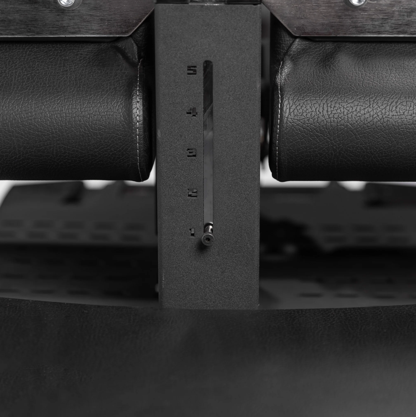 Sissy Squat & Floor Glute Ham Developer