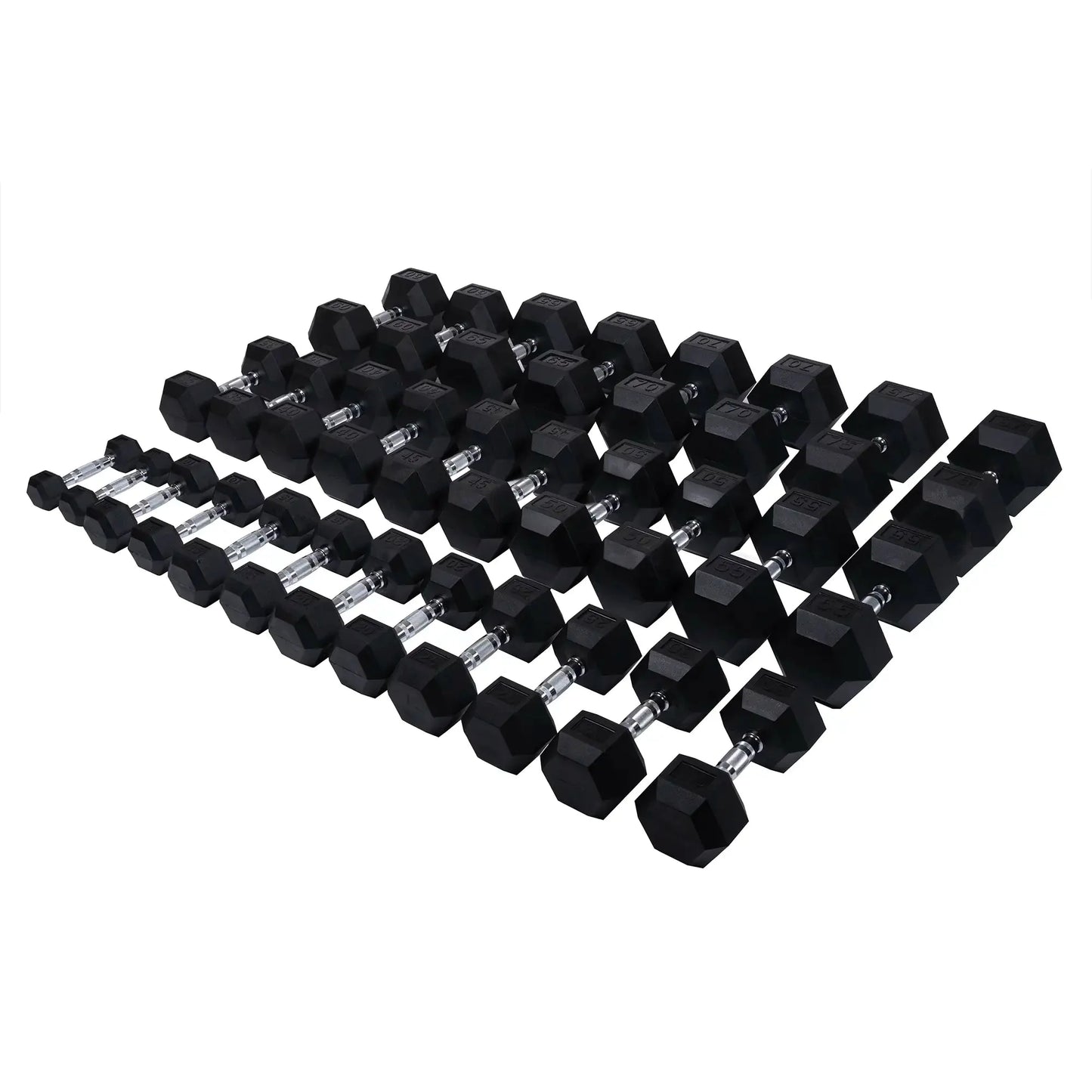 Rubber Hex Dumbbell Set | 5-75lb