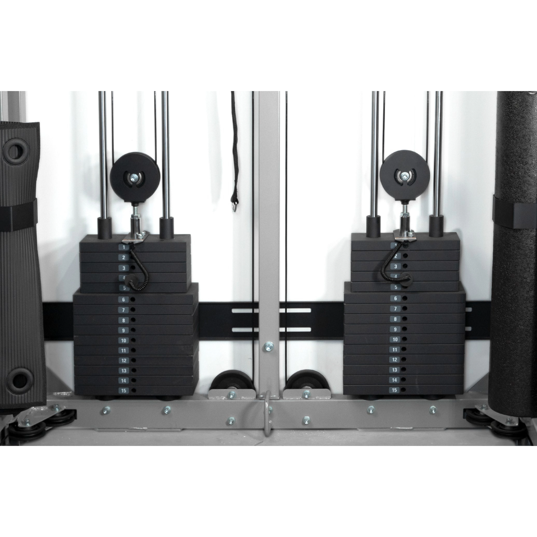 F9 Wall-Mounted Functional Trainer