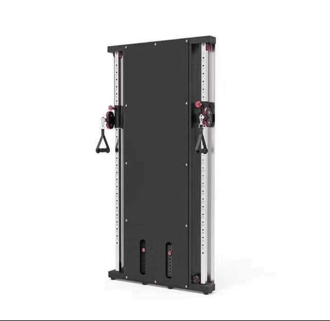 Wall Mount Functional Trainer