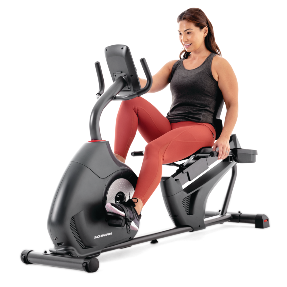 230 Recumbent Bike
