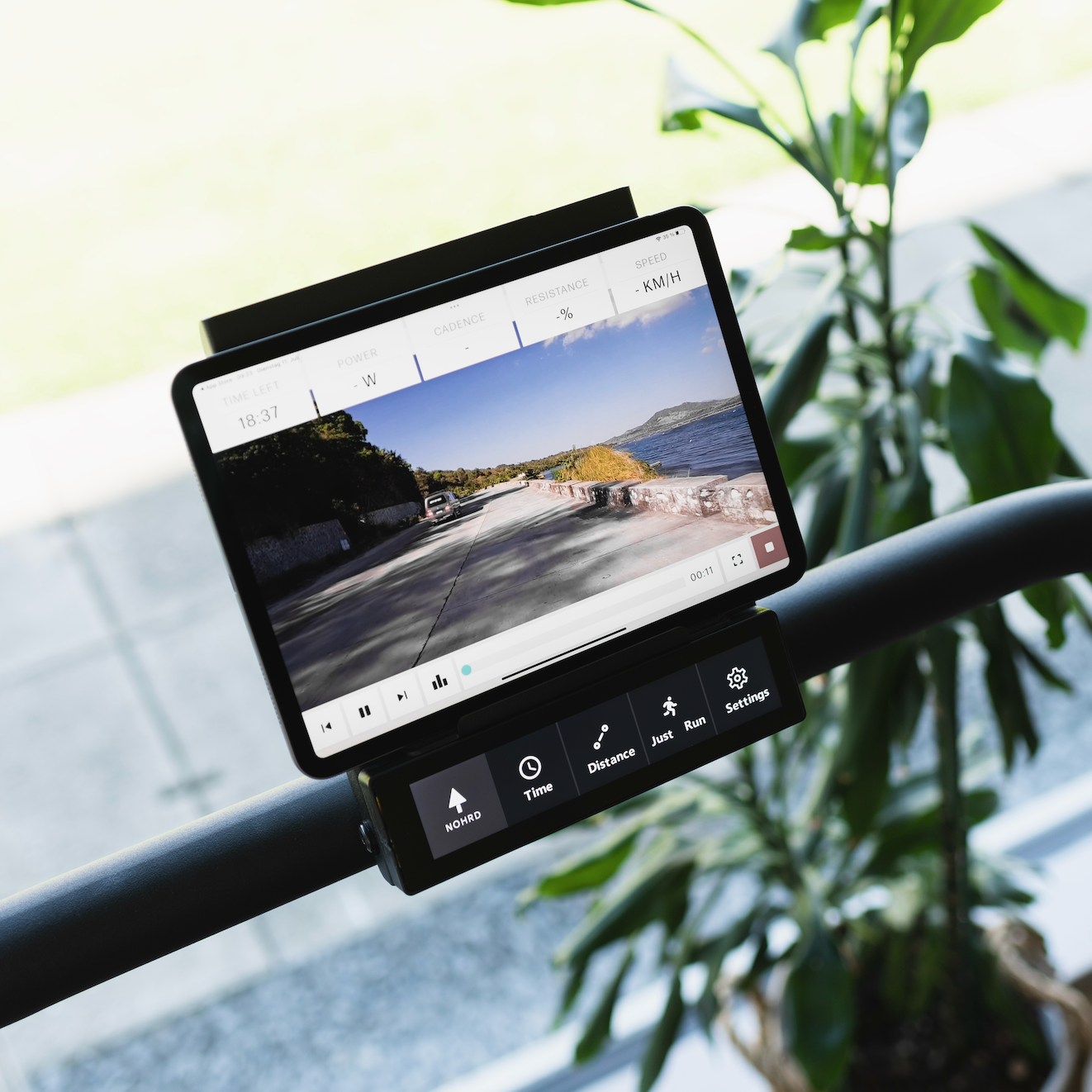 Sprintbok - Curved Manual Treadmill